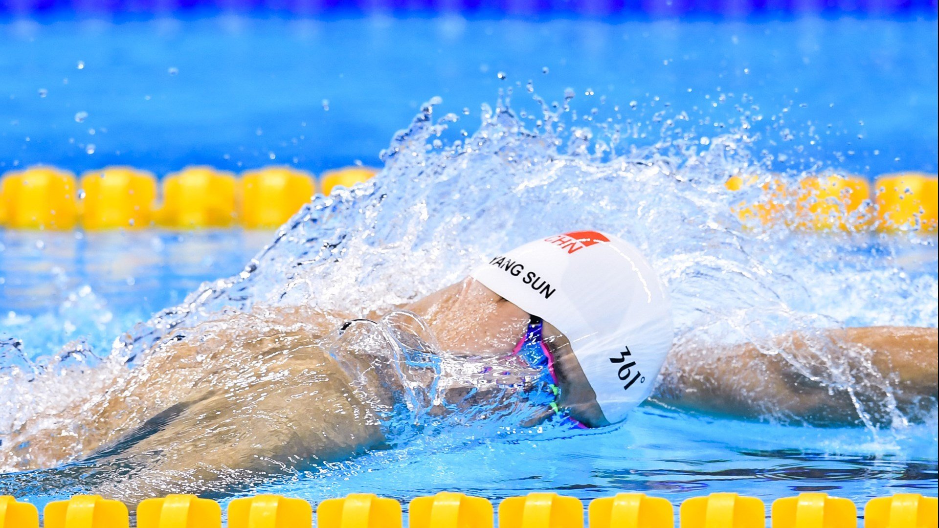 九游下载官方正版-摩洛哥马术协会开展马匹福利宣传活动，提升公众意识。，摩洛哥种马国王